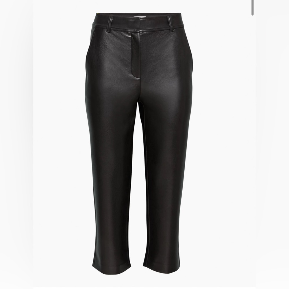 Aritzia Command Pant